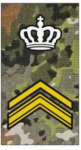 IR ROT SGT1 Instr GW NFP Green